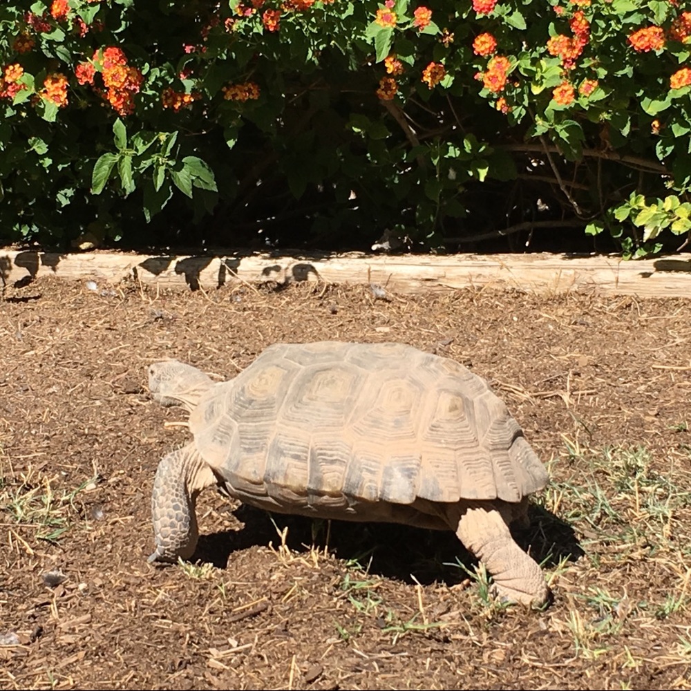 Meet your Posher, Bethany